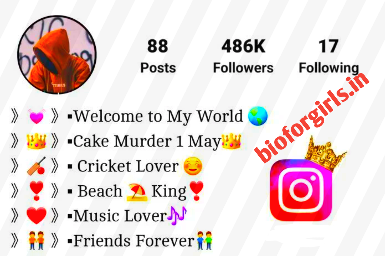 Best Instagram Bio For Cricket Lover