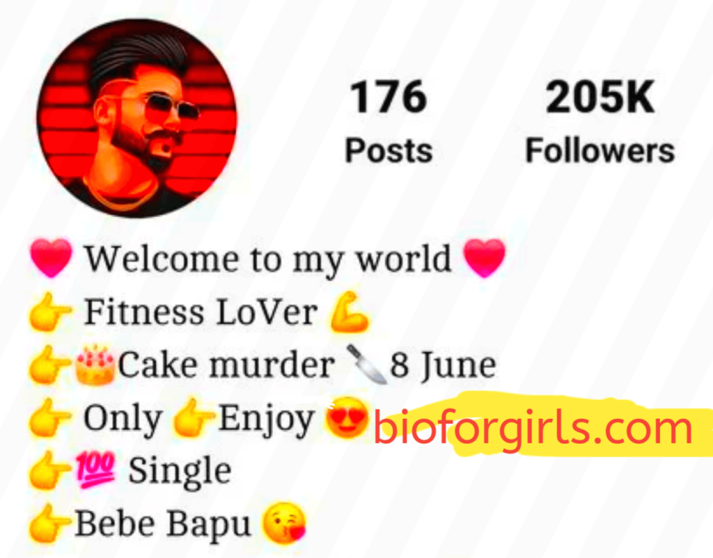 Best Instagram Bio For Boys In Punjabi 2024