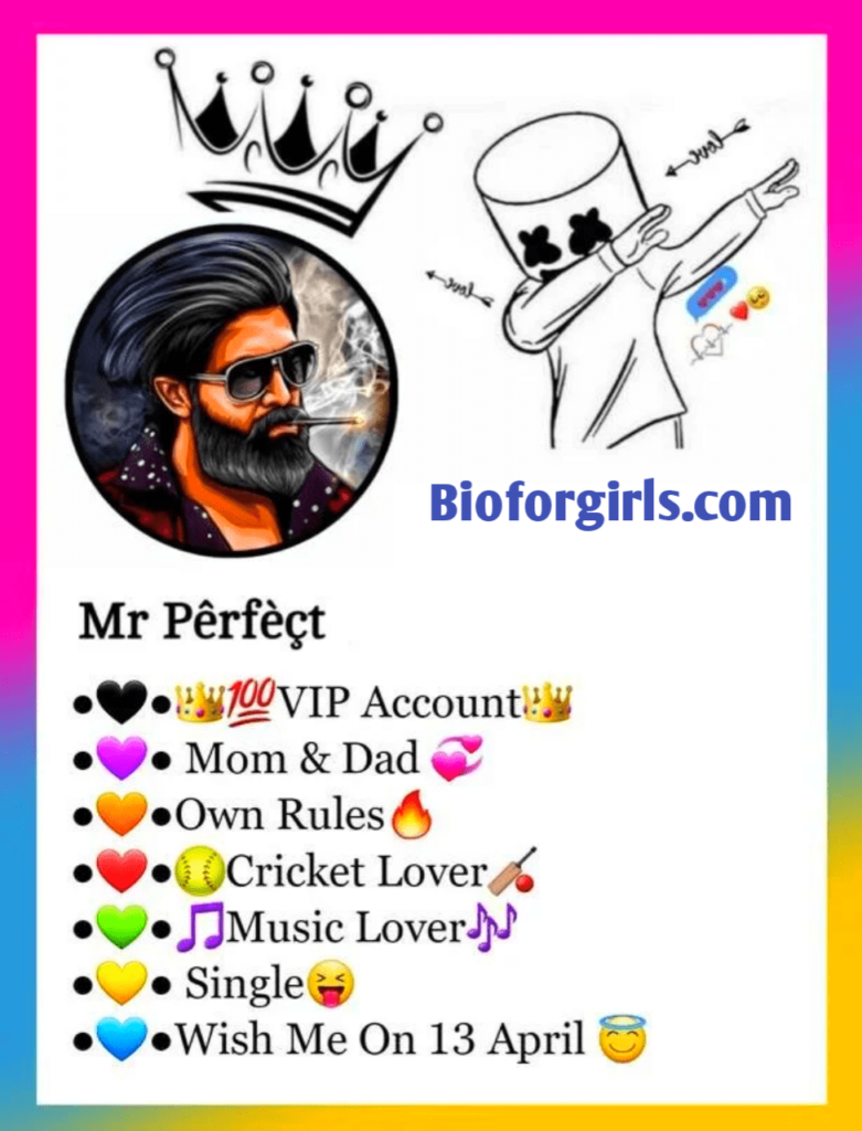  Best Facebook VIP Bio | FB VIP Account Bio (2024)