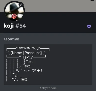 Discord Bio Template Copy And Paste