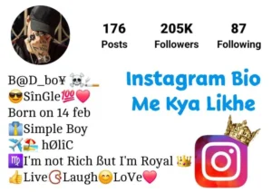 Instagram Me Bio Me Kya Likhe