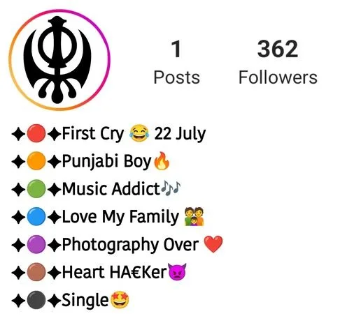 200 Best Instagram Bio In Punjabi